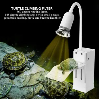 Floating Dock with Built-in Filter Lamp for Fish Tanks Aquarium 220-250V Plug Waterscape
Floating Dock with Built-in Filter Lamp for Fish Tanks Aquarium 220-250V Plug Waterscape