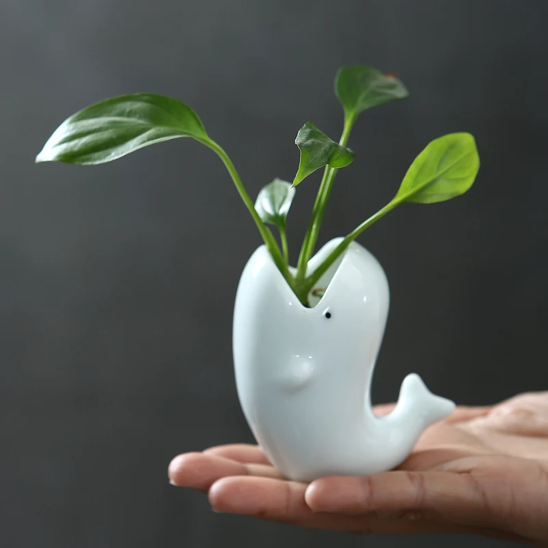 Chic Mini Celadon Whale Flower Pot Ceramic Planter Flower Vase Desktop Home Office Desktop Decoration
Chic Mini Celadon Whale Flower Pot Ceramic Planter Flower Vase Desktop Home Office Desktop Decoration