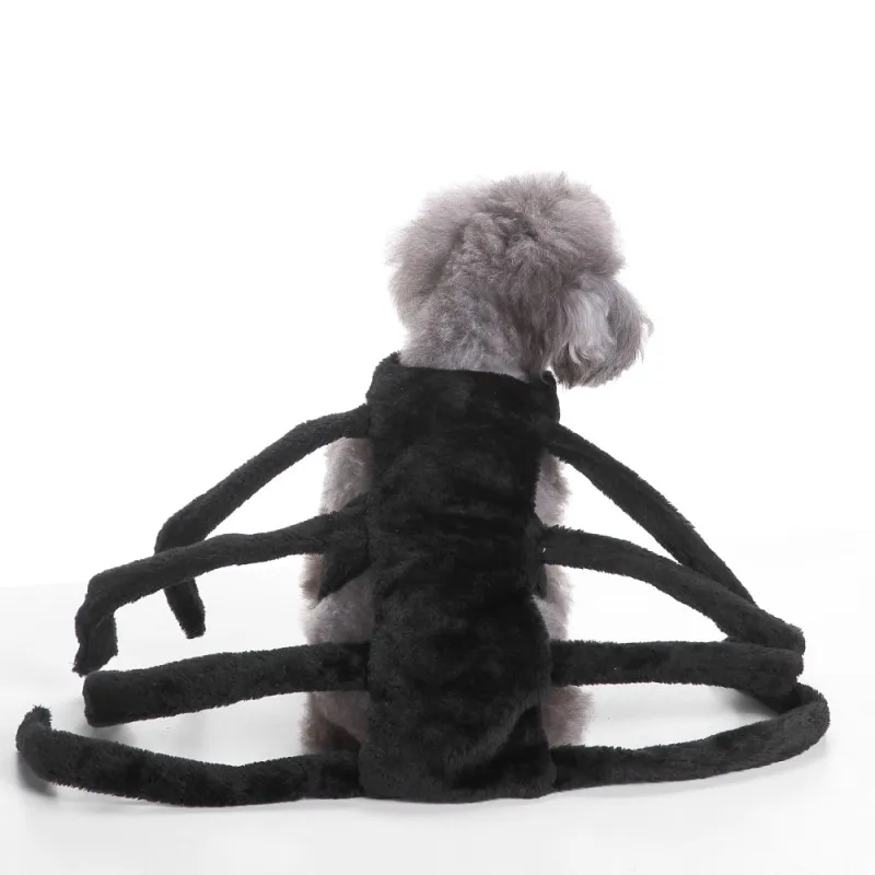 Pet Dogs Clothes Spider Cosplay Pet Costume for Dog Cat Spider Role Play Dressing Up Party Christmas Halloween Clothes for Dogs
Pet Dogs Clothes Spider Cosplay Pet Costume for Dog Cat Spider Role Play Dressing Up Party Christmas Halloween Clothes for Dogs