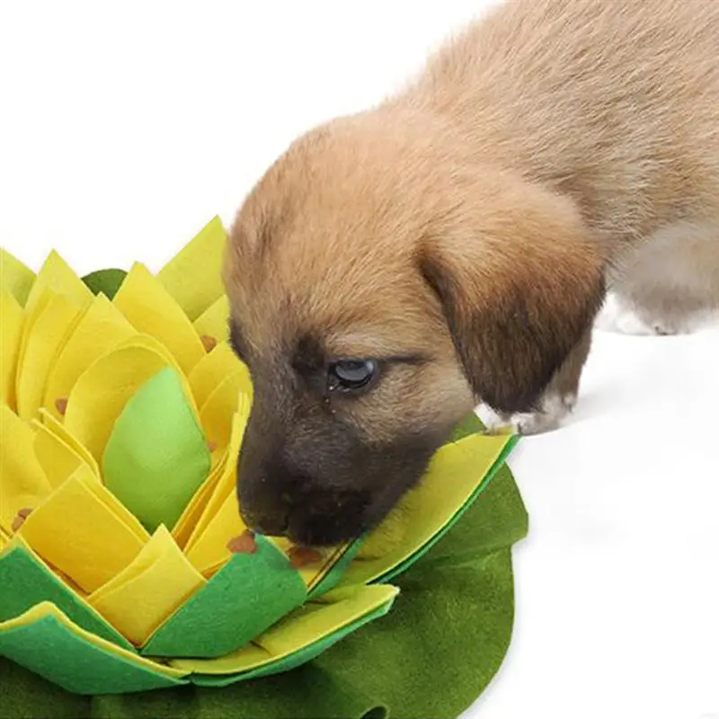 Pet Dog Sniffing Mat Dog Slow Feeding Snuffle Mat Pet Feed Training Mat Slow Eating Mat For Dog Sniffing Mat Pet Supplies
Pet Dog Sniffing Mat Dog Slow Feeding Snuffle Mat Pet Feed Training Mat Slow Eating Mat For Dog Sniffing Mat Pet Supplies