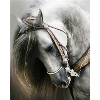 Diamond painting cross stitch grey horse full square round DIY 5d diamond embroidery picture rhinestone art 
Diamond painting cross stitch grey horse full square round DIY 5d diamond embroidery picture rhinestone art