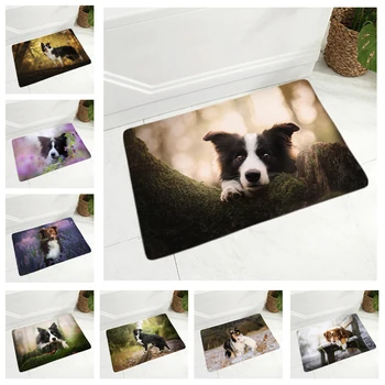 Scotland Border Collie Floor Door Mat Decor Pet Dog Animal Non-Slip Doormat Soft Flannel Carpet for Hallway kitchen Room 40x60cm
Scotland Border Collie Floor Door Mat Decor Pet Dog Animal Non-Slip Doormat Soft Flannel Carpet for Hallway kitchen Room 40x60cm