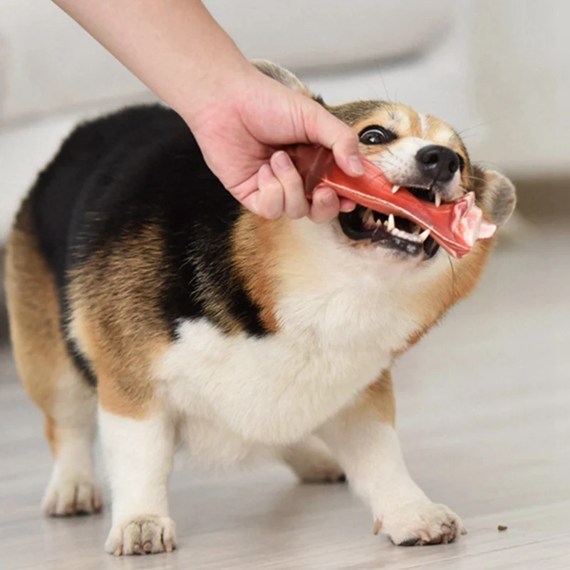 Indestructible Pet Dog Chew Toy Interactive Fetch Toys Rubber Bone Shape Molar Teeth Clean Stick Dogs Puppy Treats N1
Indestructible Pet Dog Chew Toy Interactive Fetch Toys Rubber Bone Shape Molar Teeth Clean Stick Dogs Puppy Treats N1