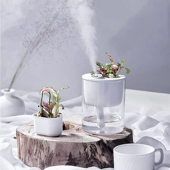 Mini White S1 320ml Air Humidifier 15 Degrees Sprayer NANO-Aromatherapy Humidifier with Eco Cup Night Light Potted Plant
Mini White S1 320ml Air Humidifier 15 Degrees Sprayer NANO-Aromatherapy Humidifier with Eco Cup Night Light Potted Plant
