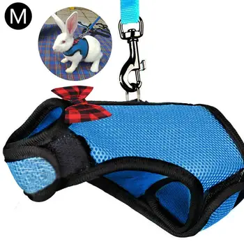 Rabbits Hamster Vest Harness With Leas Bunny Mesh Chest Strap Harnesses Ferret Guinea Pig Small Animals Pet Accessories S/M/L 
Rabbits Hamster Vest Harness With Leas Bunny Mesh Chest Strap Harnesses Ferret Guinea Pig Small Animals Pet Accessories S/M/L