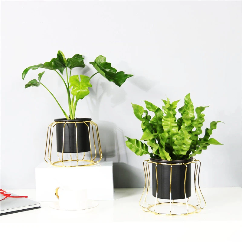 Nordic Flower Pots Cachepot Ceramic Planter Stand Metal Geometric Iron Frame Set Garden Balcony Decor Bonsai Holder Succulent
Nordic Flower Pots Cachepot Ceramic Planter Stand Metal Geometric Iron Frame Set Garden Balcony Decor Bonsai Holder Succulent