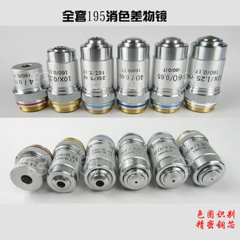 Biological Microscope Objective 195 Achromatic Objective Lens 4X, 10X, 20X, 40X60X100X High Magnification
Biological Microscope Objective 195 Achromatic Objective Lens 4X, 10X, 20X, 40X60X100X High Magnification