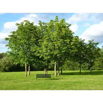 Test spanish title 1 
Test spanish title 1