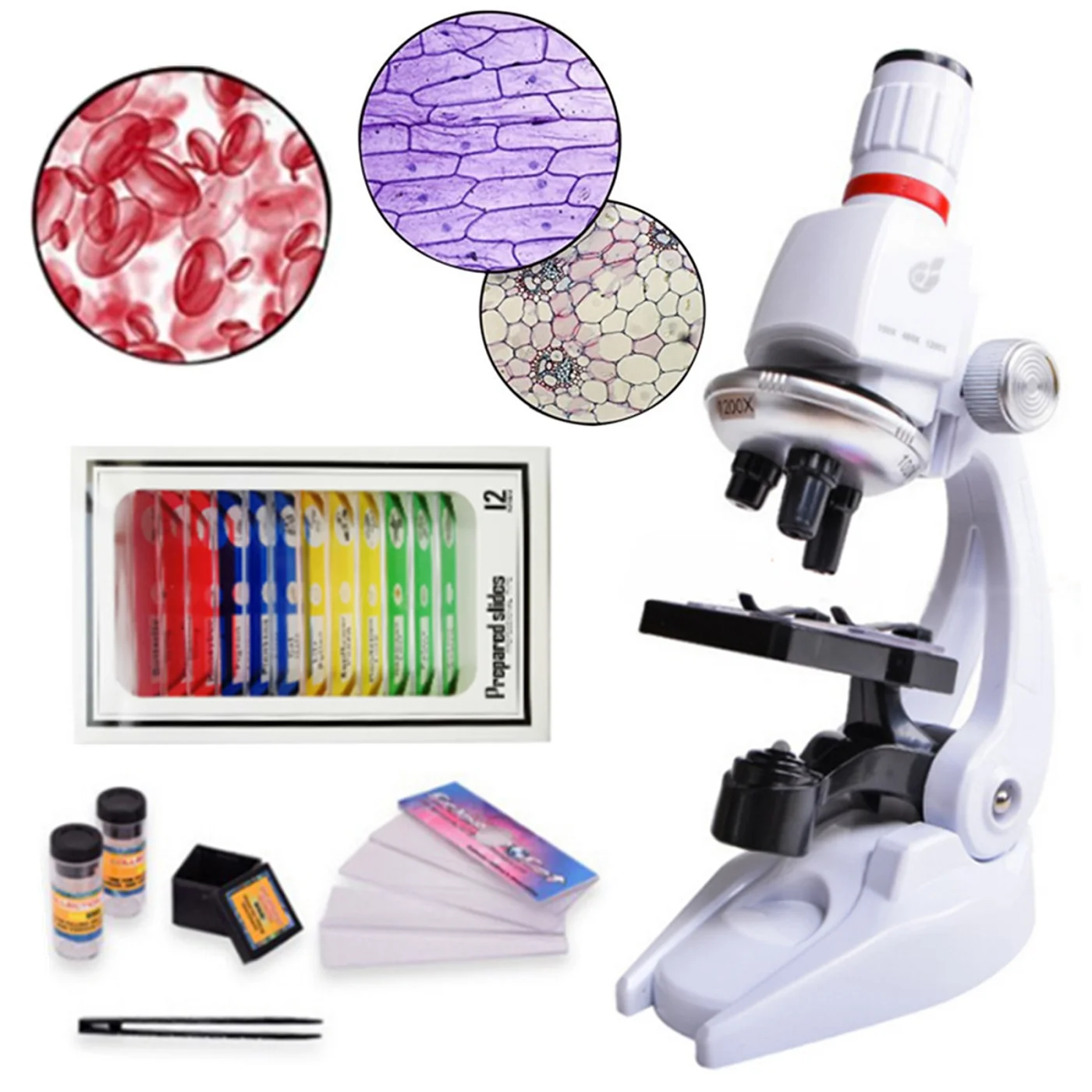 Microscope Experimental Kit Lab LED 1200X Home School Science Educational Toy Gift Refined Biological Microscope For Kids Child
Microscope Experimental Kit Lab LED 1200X Home School Science Educational Toy Gift Refined Biological Microscope For Kids Child