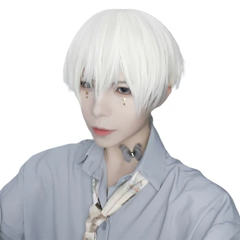 AILIADE Men's Cosplay Wigs with Bangs White Short Synthetic Heat Resistant Hair for Women Cosplay Anime Custome Party Daily
AILIADE Men's Cosplay Wigs with Bangs White Short Synthetic Heat Resistant Hair for Women Cosplay Anime Custome Party Daily