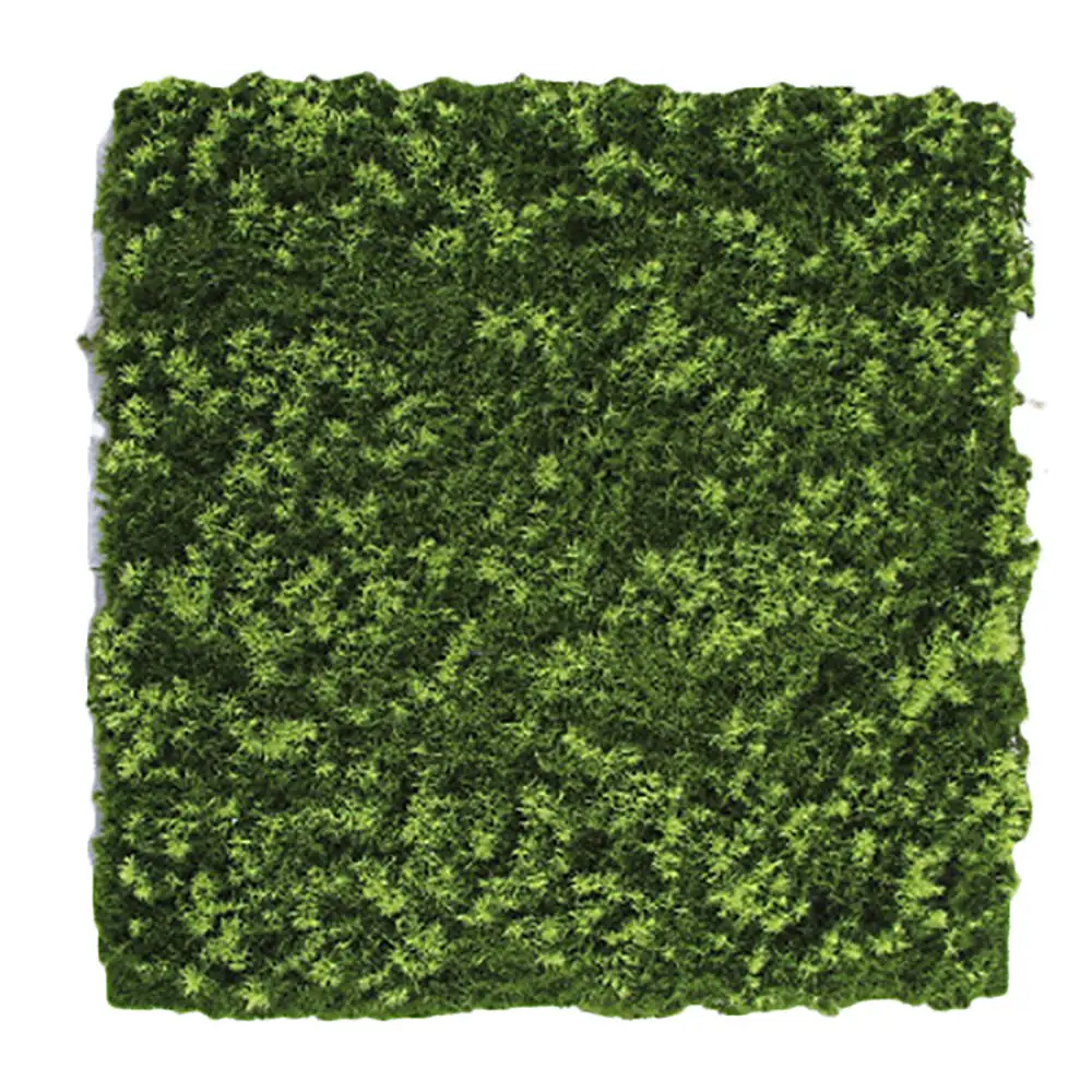 Square Simulation Moss Artificial Fake Moss Garden Simulation Plants Lawn Turf Green Grass Micro Landscape Decor 40 * 40 cm
Square Simulation Moss Artificial Fake Moss Garden Simulation Plants Lawn Turf Green Grass Micro Landscape Decor 40 * 40 cm