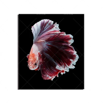HD Canvas Painting Wall Art With Frame Colorful Colorful Grape Fish Abstract Nordic Poster Modular Living Room Family Painting
HD Canvas Painting Wall Art With Frame Colorful Colorful Grape Fish Abstract Nordic Poster Modular Living Room Family Painting