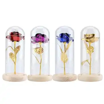 Preserved Rose Flower LED Light with Glass Cover Wooden Base Artificial Flowers Christmas Valentine Gift for Girls
Preserved Rose Flower LED Light with Glass Cover Wooden Base Artificial Flowers Christmas Valentine Gift for Girls