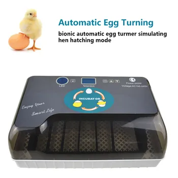 Automatic Digital 12 Eggs Incubator Hatcher Large Capacity Practical Incubators For Chicken Poultry Quail Eggs Home Use
Automatic Digital 12 Eggs Incubator Hatcher Large Capacity Practical Incubators For Chicken Poultry Quail Eggs Home Use