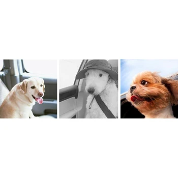 Anti-shock Dog Seat Belt Car Seat Belt Reflective Elastic Dog Leash Vehicle Car Pet Safety Belt Harness Lead Clip Dogs Supplies
Anti-shock Dog Seat Belt Car Seat Belt Reflective Elastic Dog Leash Vehicle Car Pet Safety Belt Harness Lead Clip Dogs Supplies