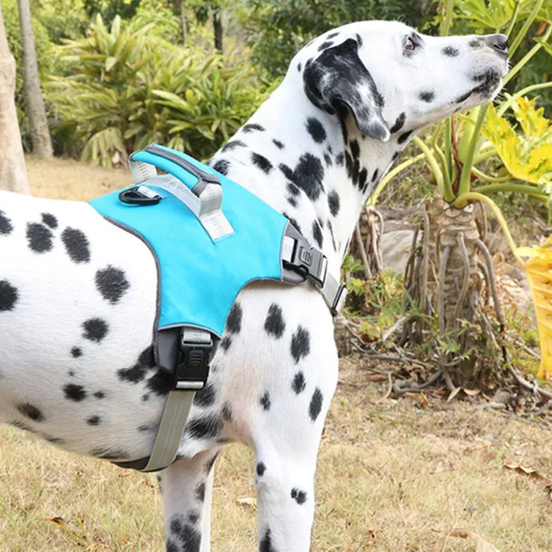 Pet Dog Chest Strap Adjustable Reflective Nylon Material Chest Strap Sponge Filled Soft and Comfortable Pet Outing Supplies
Pet Dog Chest Strap Adjustable Reflective Nylon Material Chest Strap Sponge Filled Soft and Comfortable Pet Outing Supplies