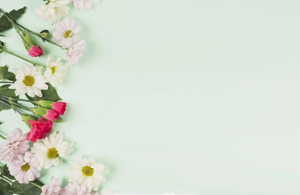 SHUOZHIKE Vinyl Custom Photography Backdrops Prop Taobao Flower wood theme Photo Studio Background D19511-12
SHUOZHIKE Vinyl Custom Photography Backdrops Prop Taobao Flower wood theme Photo Studio Background D19511-12