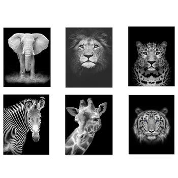new Black White Elephant Deer Tiger Lion Animals 5D DIY Diamond Painting Nordic diamond Embroidery Mosaic Wall Decor Art
new Black White Elephant Deer Tiger Lion Animals 5D DIY Diamond Painting Nordic diamond Embroidery Mosaic Wall Decor Art