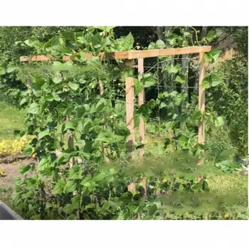 Plant Climbing Net Mesh Polyester Net Flower Cucumber Plants Landing Net Frame Support Mesh Vine Trellis Netting
Plant Climbing Net Mesh Polyester Net Flower Cucumber Plants Landing Net Frame Support Mesh Vine Trellis Netting