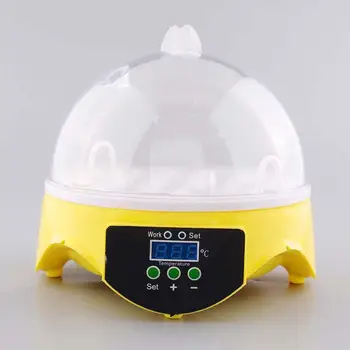AC 110V / AC 230V Mini Egg Automatic Incubator Poultry Incubator Brooder Digital Temperature Hatchery Egg Incubator Chicken Duck
AC 110V / AC 230V Mini Egg Automatic Incubator Poultry Incubator Brooder Digital Temperature Hatchery Egg Incubator Chicken Duck