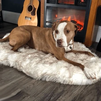 Pet Dog Soft Kennel Bed Shag Plush Calming Warm Puppy Cushion Mat for Winter P7Ding
Pet Dog Soft Kennel Bed Shag Plush Calming Warm Puppy Cushion Mat for Winter P7Ding