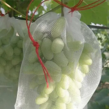 50pcs Plant Seed Protection Bags Reusable Nylon Fruit Covers Insect Proof Drawstring Mesh
50pcs Plant Seed Protection Bags Reusable Nylon Fruit Covers Insect Proof Drawstring Mesh
