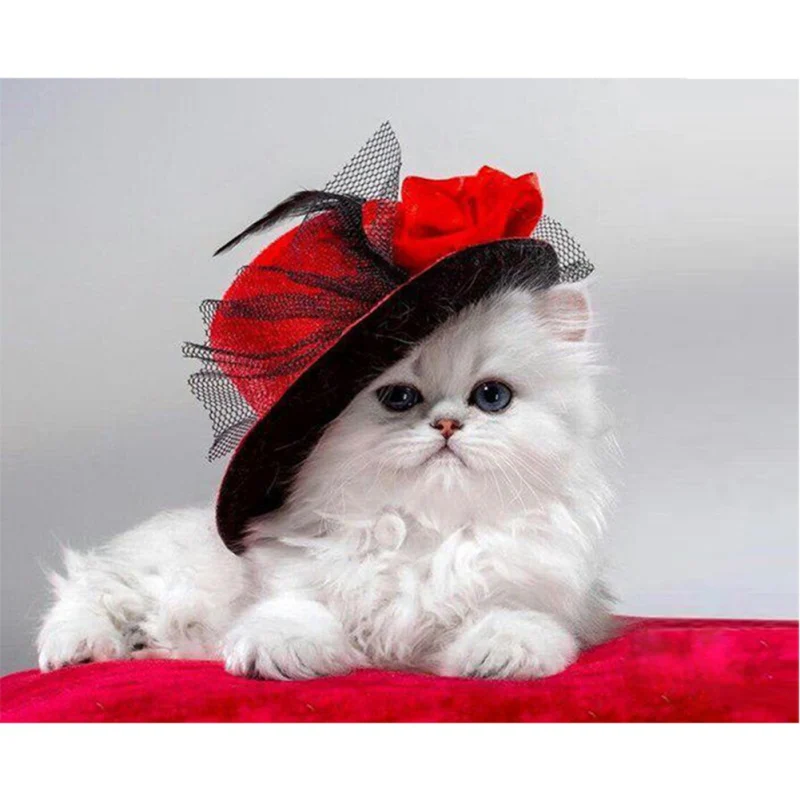 DIY Oil Painting Paint By Numbers For Adults Kids Beginners Drawing On Pre-printed Canvas - The White Cat Of The Red Flower Hat
DIY Oil Painting Paint By Numbers For Adults Kids Beginners Drawing On Pre-printed Canvas - The White Cat Of The Red Flower Hat