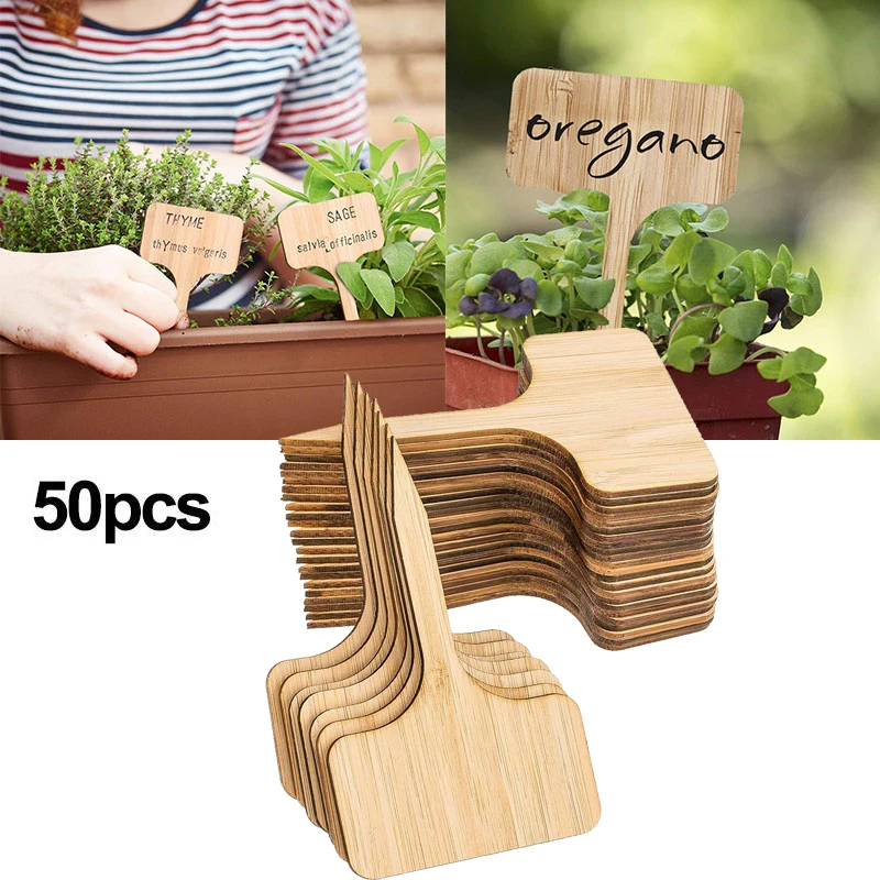 50Pcs Bamboo Plant Labels , Eco-Friendly T-Type Wooden Plant Sign Tags Garden Markers for Seed Potted Herbs Flowers Vegetables
50Pcs Bamboo Plant Labels , Eco-Friendly T-Type Wooden Plant Sign Tags Garden Markers for Seed Potted Herbs Flowers Vegetables