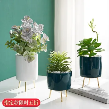 Artificial Plants Ornaments Living Room with Pot Creative Northern European-Style Ins-Style Floor Succulents Decoration Small Or
Artificial Plants Ornaments Living Room with Pot Creative Northern European-Style Ins-Style Floor Succulents Decoration Small Or