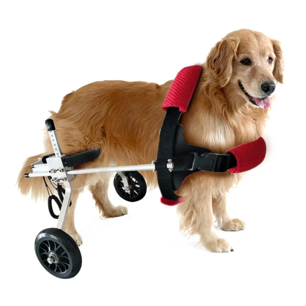 Pet Wheelchair Disabled Dog Old Dog Cat Assisted Walk Car Hind Leg Exercise Car For Dog/Cat Care
Pet Wheelchair Disabled Dog Old Dog Cat Assisted Walk Car Hind Leg Exercise Car For Dog/Cat Care