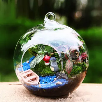 10pcs/set Clear Glass Ball Vase Transparent Terrarium Ball Clear Hanging Glass Vase Flowerpot Container Home Decor Wholesale
10pcs/set Clear Glass Ball Vase Transparent Terrarium Ball Clear Hanging Glass Vase Flowerpot Container Home Decor Wholesale