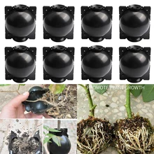 3/6pcs Plant Rooting Ball Grafting Rooting Growing Box Breeding Seeding Case Container Nursery Box for Garden Graft Box Sapling
3/6pcs Plant Rooting Ball Grafting Rooting Growing Box Breeding Seeding Case Container Nursery Box for Garden Graft Box Sapling