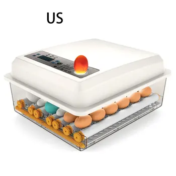 Poultry Hatchery Machine Eggs 16 Hatching Mini Brooder Small Chicken Bird Egg Incubator Hatchers for Quail Parrot Duck Pigeon
Poultry Hatchery Machine Eggs 16 Hatching Mini Brooder Small Chicken Bird Egg Incubator Hatchers for Quail Parrot Duck Pigeon