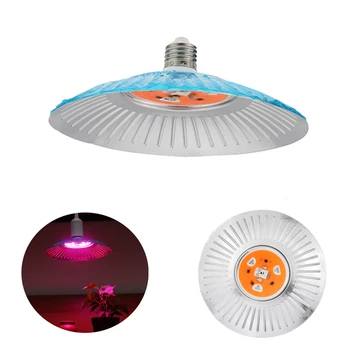 30W Grow Light E27 Plug Socket Bulb Full Spectrum Indoor Plant Lamp Hydroponic System AC220V Growth Lights for Flowers Plants
30W Grow Light E27 Plug Socket Bulb Full Spectrum Indoor Plant Lamp Hydroponic System AC220V Growth Lights for Flowers Plants