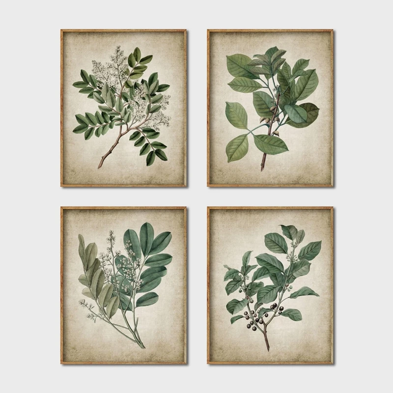 Green Plant Canvas Painting Wall Art Prints Retro Poster Vintage Leaves Print Botanical Art Decor Wall Picture Home Decoration
Green Plant Canvas Painting Wall Art Prints Retro Poster Vintage Leaves Print Botanical Art Decor Wall Picture Home Decoration