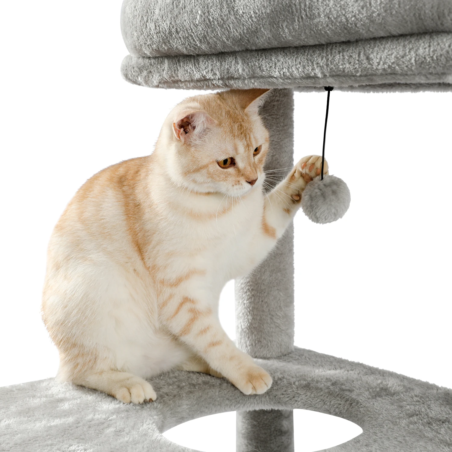 H6f11c1392e5943a7908f7b64cbcc3dc7J