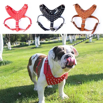 SHENGY Pets Cat Dogs Basic Halter Harnesses Adjustable Pet Supplies Solid Rivets Dogs Cat Collars Pets Halter Safety Harnesses
SHENGY Pets Cat Dogs Basic Halter Harnesses Adjustable Pet Supplies Solid Rivets Dogs Cat Collars Pets Halter Safety Harnesses