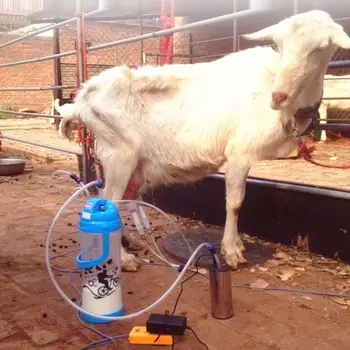 Small Protable Electric Milking Machine Stainless Steel with Adjustable Suction Goat Sheep Milk Tray for Small Farm
Small Protable Electric Milking Machine Stainless Steel with Adjustable Suction Goat Sheep Milk Tray for Small Farm