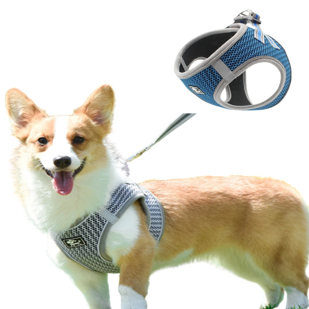 Dog Harness And Leash Set Reflective Adjustable Mesh Vest Harnesses Breathable Puppy Kitten Collars Pet Leads For Small Dogs
Dog Harness And Leash Set Reflective Adjustable Mesh Vest Harnesses Breathable Puppy Kitten Collars Pet Leads For Small Dogs