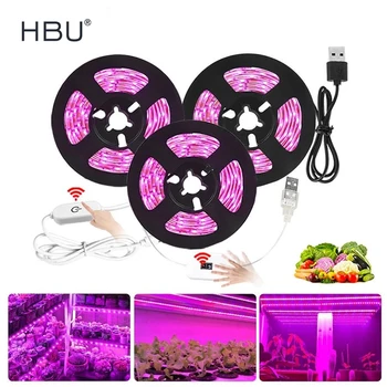 LED Growing Lamps USB Full Spectrum Flower Lamp Grow LED Strip For Plant SMD2835 Touch Switch Phyto Lamp Indoor Garden Tent Box
LED Growing Lamps USB Full Spectrum Flower Lamp Grow LED Strip For Plant SMD2835 Touch Switch Phyto Lamp Indoor Garden Tent Box