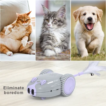 Steering Automatically at Corners pet toy Interactive Cat Toy Mouse Shape Rechargeable Toy with 5 Replacement Feathers
Steering Automatically at Corners pet toy Interactive Cat Toy Mouse Shape Rechargeable Toy with 5 Replacement Feathers