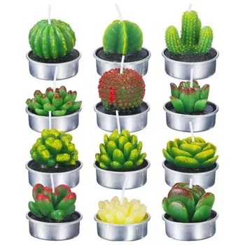 6pcs 12pcs Artificial Succulent Plants Cactus Candle For Birthday Party Wedding Feast Holiday Decoration home decor
6pcs 12pcs Artificial Succulent Plants Cactus Candle For Birthday Party Wedding Feast Holiday Decoration home decor
