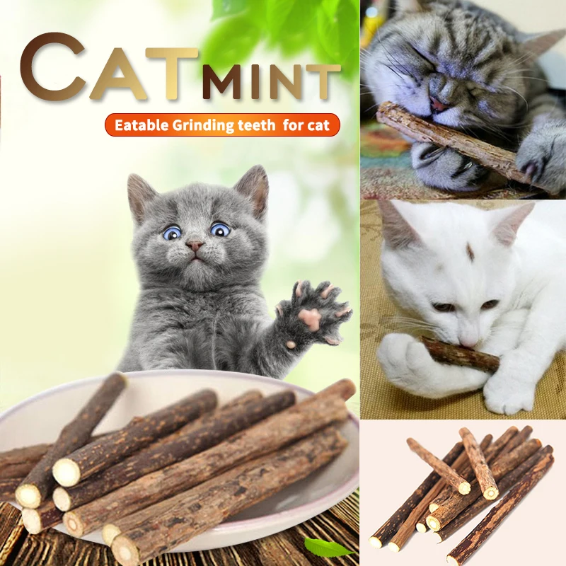 5/15/25 pcs Pure Natural Catnip Pet Cat Toy Molar Toothpaste Branch Cleaning Teeth Pet Cat Snacks Sticks Pet Supplies D40
5/15/25 pcs Pure Natural Catnip Pet Cat Toy Molar Toothpaste Branch Cleaning Teeth Pet Cat Snacks Sticks Pet Supplies D40
