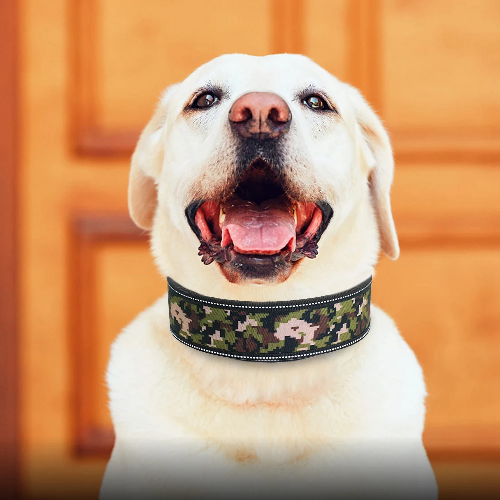 Reflective Printing Pet Dog Collar Personalized Pet Dog Label Collar Adjustable Large Medium Sized Dog Diving Waterproof Collar
Reflective Printing Pet Dog Collar Personalized Pet Dog Label Collar Adjustable Large Medium Sized Dog Diving Waterproof Collar