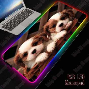 XGZ Cute Dogs RGB Gaming Large Mouse Pad Gamer Led Computer Mousepad Big Mouse Mat with Backlight Carpet Keyboard Desk Mat Mause
XGZ Cute Dogs RGB Gaming Large Mouse Pad Gamer Led Computer Mousepad Big Mouse Mat with Backlight Carpet Keyboard Desk Mat Mause
