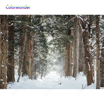 Forest paths in the snow Backdrop Photography Background For Photo Studio Photocall 7X5ft
Forest paths in the snow Backdrop Photography Background For Photo Studio Photocall 7X5ft
