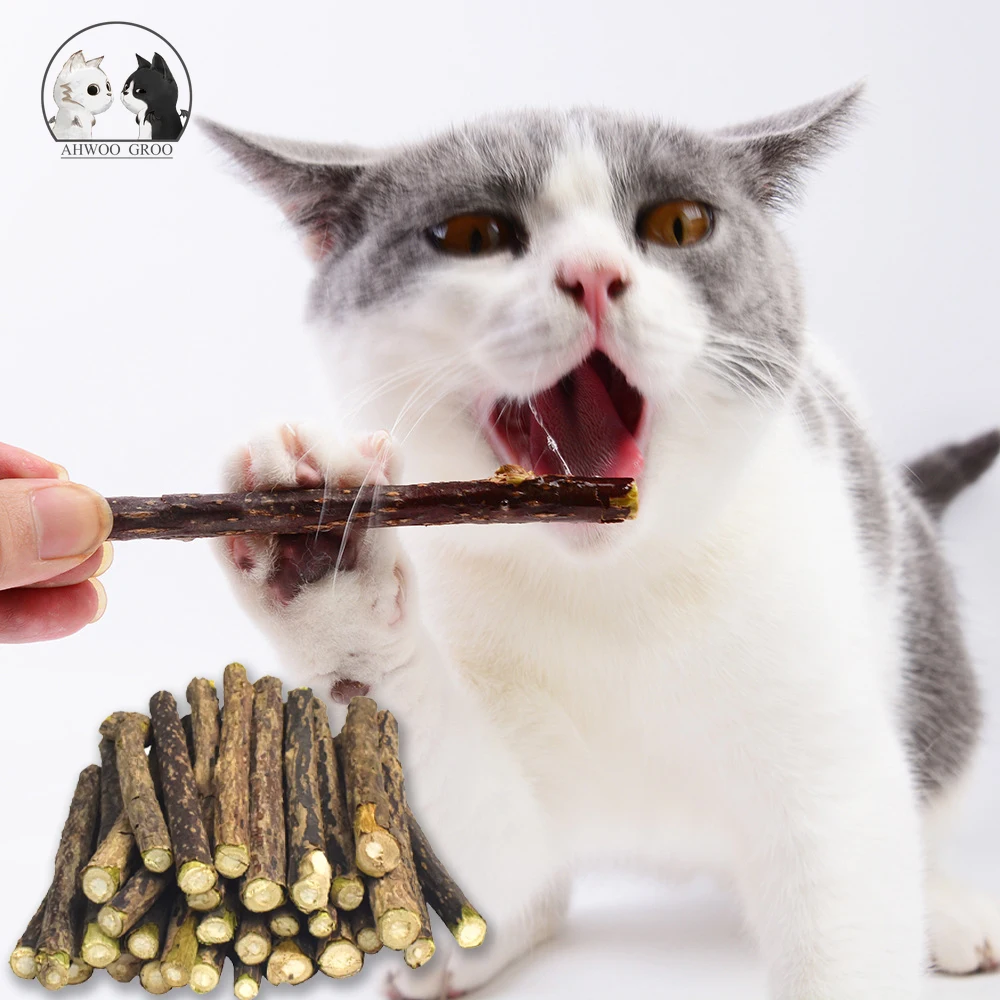 20pcs Pure Natural Catnip Pet Cat Toy Safety Molar Toothpaste Branch Cleaning Teeth Silvervine Cat Snacks Sticks Pet Supplies
20pcs Pure Natural Catnip Pet Cat Toy Safety Molar Toothpaste Branch Cleaning Teeth Silvervine Cat Snacks Sticks Pet Supplies