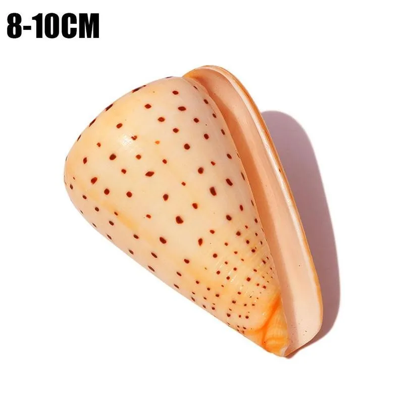 8-10cm Light Yellow Natural Cono Snail Aquarium Fish Tank Landscaping Ornament Sea Cockle Shell Conch Coral Decor Gift | Дом и сад