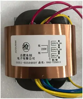2*22V 0.9A 9V 1A R Core Transformer 50VA R40 custom transformer 220V copper shield output for Pre-decoder Power amplifier
2*22V 0.9A 9V 1A R Core Transformer 50VA R40 custom transformer 220V copper shield output for Pre-decoder Power amplifier