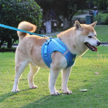 Breathable Mesh Small Dog Harness Vest Puppy Harnesses Reflective pet Walking Lead Leash Soft Medium dog chest strap
Breathable Mesh Small Dog Harness Vest Puppy Harnesses Reflective pet Walking Lead Leash Soft Medium dog chest strap